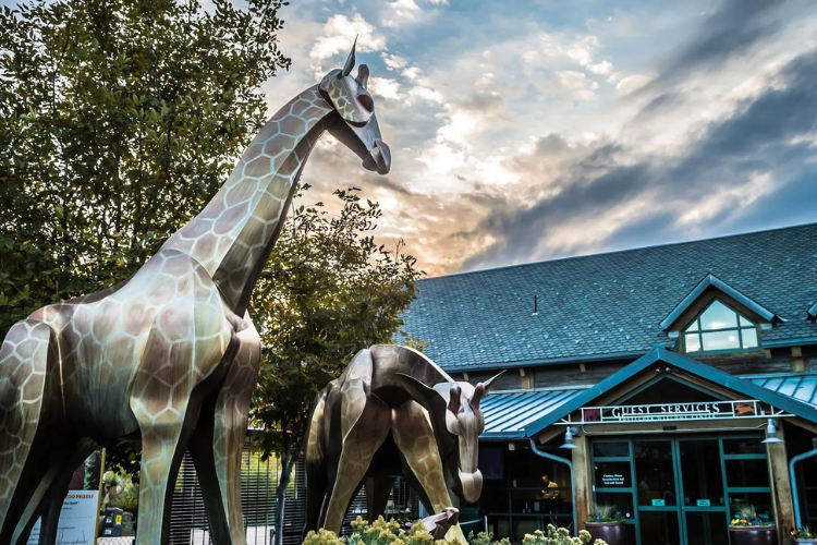 Denver Zoo Delights: Unveiling the Latest from the Mile High City’s Wildlife Haven